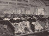 Ostrich Feathers at the Cutler Street Warehouses. London. Industry 1896 print