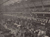 The Cattle Show, 1895. London 1896 old antique vintage print picture
