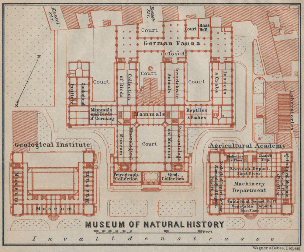 Natural History MUSEUM für NATURKUNDE, Berlin. Floor plan karte 1923 old map