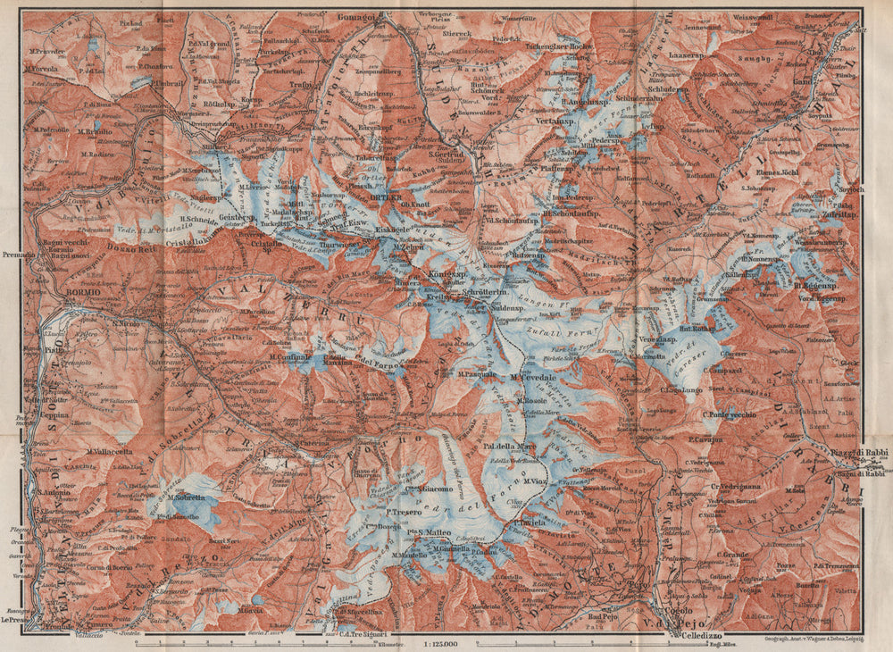 ORTLER ALPS. Ortler Alpen Ortles-Cevedale Bormio Solda Santa Caterina 1899 map