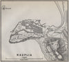 NAFPLION/NAPOLI DI ROMANIA/NAUPLIA antique town city plan. Greece.SMALL 1909 map