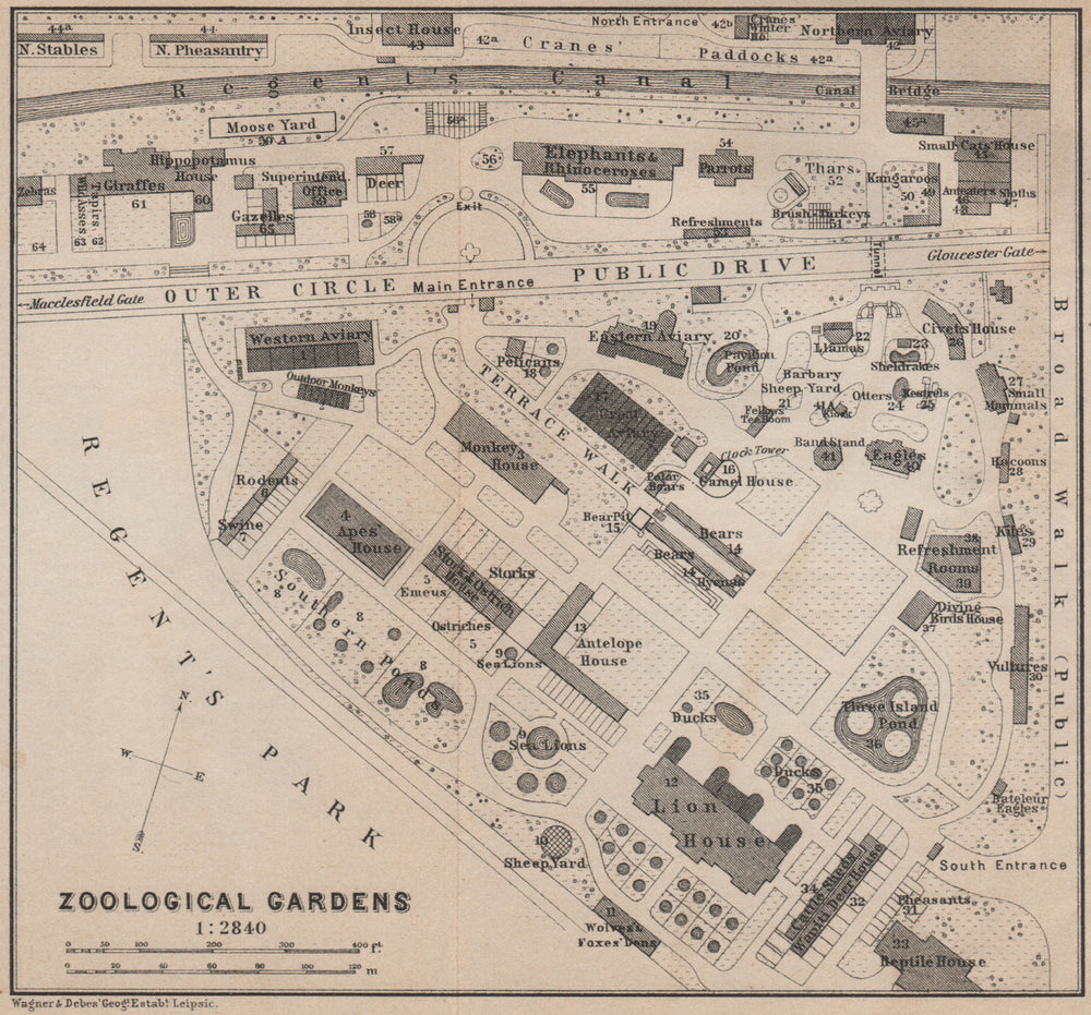 London ZOOLOGICAL GARDENS ground plan. Regent's Park. ZSL London Zoo 1905 map