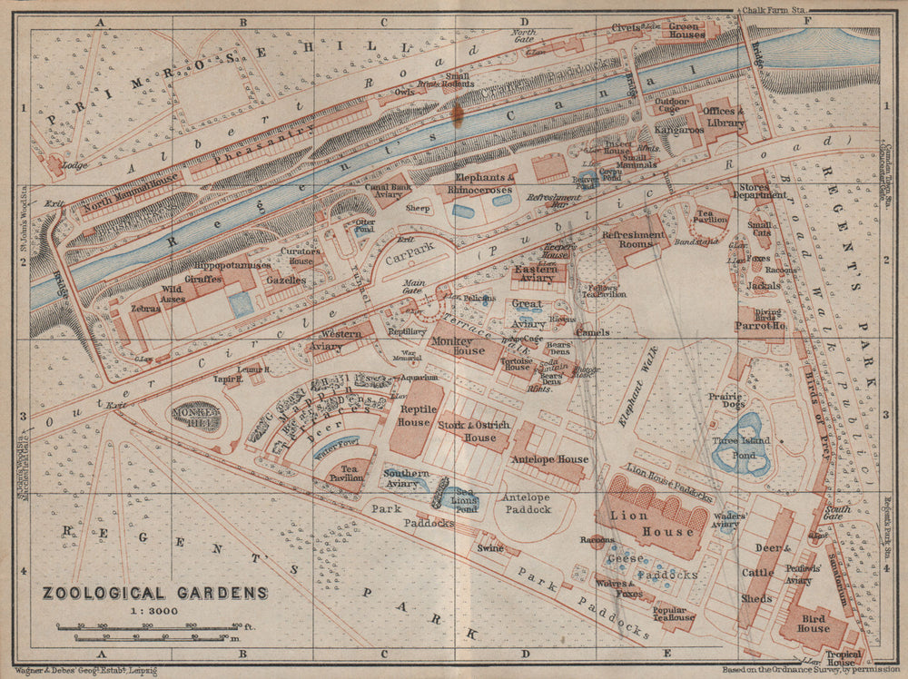 London ZOOLOGICAL GARDENS ground plan. Regent's Park. ZSL London Zoo 1930 map