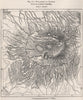 Volcanoes of Lazio. from the Austrian Staff map. Italy 1885 old antique