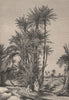 The Kufra Oasis. Libya. The Kufra Oases 1885 old antique vintage print picture