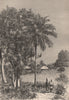 Inland Scenery, Slave Coast. Africa. Nigeria 1885 old antique print picture