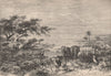 Shores of Lake Chad. Chad. The Chad Basin 1885 old antique print picture