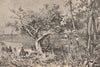 View taken on the banks of the Chari. Chad. The Chad Basin 1885 old print