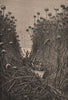 Giraud amid the reeds of Lake Bangweulu. Zambia. Congo Basin 1885 old print