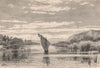 The Lukuga River, emissary of Tanganyika. Congo 1885 old antique print picture