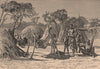 Bushman Encampment. South Africa 1885 old antique vintage print picture
