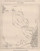 Chief routes of Kilimanjaro Region explorers. Tanzania. Maasai Land 1885 map