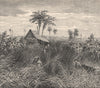 Sumatran jungle - View in the state of Deli. Indonesia. East Indies 1885 print