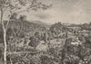 Coffee Plantation, Preang Regencies, Java. Indonesia. East Indies 1885 print