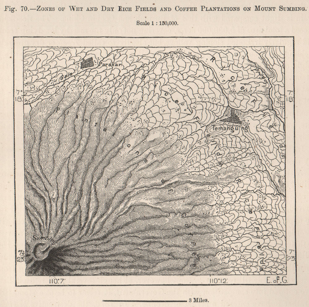 Rice field & coffee plantation zones, Mount Sumbing, Java. Indonesia 1885 map