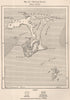 Chatham Island. New Zealand 1885 old antique vintage map plan chart
