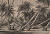 Landscape in the Tuamotu Archipelago. French Polynesia 1885 old antique print