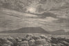 Polar scenery - Bellot Island. Canada. Canadian Arctic Archipelago 1885 print