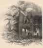 Tobacco. Drying the Plants. Virginia 1885 old antique vintage print picture