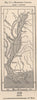 Mississippi Alluvia. USA 1885 old antique vintage map plan chart