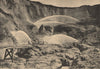 Hydraulic mining in North Bloomfield, Nevada (now California)  1885 old print