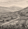 Maguey (Agave) plantations, San Francisquito district, near Mexico City 1885