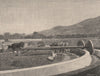 Mill for Husking Coffee. Costa Rica. Central America 1885 old antique print