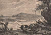 Turtle Island - Three Rivers mouth. Haiti. Tortuga. Île de la Tortue 1885