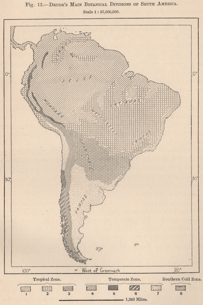 Drude's main Botanical divisions of South America 1885 old antique map chart