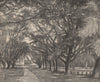 View taken at Saint James, Port of Spain, Trinidad. Trinidad and Tobago 1885
