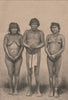 Group of Guaraunos (Warao) Indians. Venezuela 1885 old antique print picture