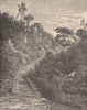 Road in the hot lands, Colombia 1885 old antique vintage print picture