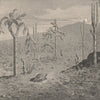 Indefatigable (Santa Cruz) Island, Galapagos Islands. Ecuador 1885 old print