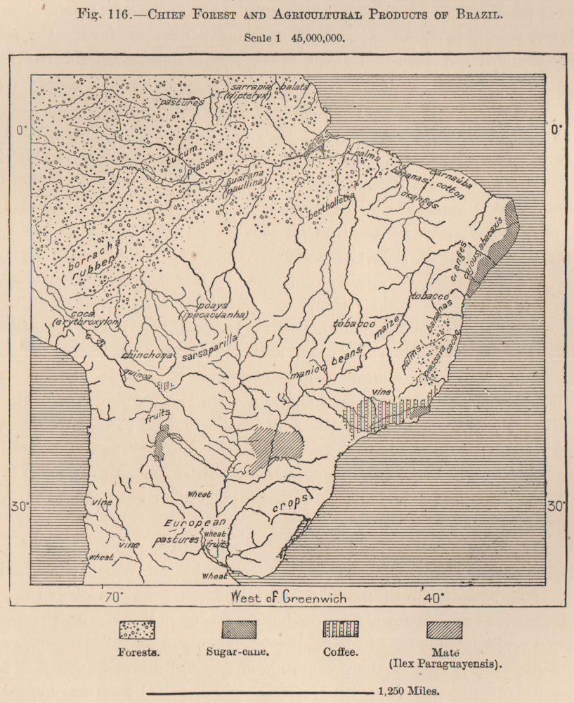 Chief forest and Agricultural products of Brazil 1885 old antique map chart