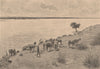 Banks of the Rio Neuquen. Argentina 1885 old antique vintage print picture