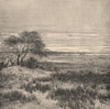 View taken in the Acha Valley, Central Pampa. Argentina 1885 old antique print
