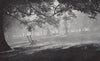 Morning Mists, Hyde Park. E.O. HOPPÉ. London 1930 old vintage print picture