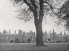Hampton Court Palace. E.O. HOPPÉ. London 1930 old vintage print picture