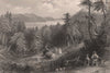 QUEBEC. Davis' Clearing. Eastern Townships. Cantons de l'Est. BARTLETT 1842