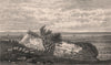 Studfall Castle (near Lympne Castle), Kent. Roman ruins. SHEPHERD 1829 print
