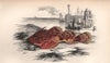 LONGSPINED SEA-SCORPION. Taurulus bubalis, Longspined bullhead. COUCH. Fish 1862