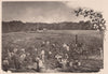 Cotton Crop in the South, USA. Albertype print 1893 old antique picture