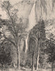 Yosemite Falls, Yosemite Valley, California. Albertype print 1893 old
