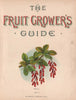 Title page Vol 1. BERBERRIES. WRIGHT Chromolithograph 1892 old antique print
