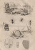 BEEKEEPING. FISH. Abeille (Bee). Beehive honeycomb. Able (belica) fish 1834
