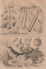 Bégone (Begone). Belemnitida. Belladonna. Bergeronnette (Wagtail) 1834 print