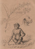 Chigommier (Combretum Glutinosum). Chimpansé (Chimpanzee) 1834 old print
