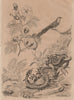 PLANTS. Cotonier (Cotton Plant). Coucou (Cuckoo). Couleuvre (Grass Snake) 1834