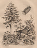 Cymothoa (tongue-eating louse). Cynocephalus (yellow baboon). Cypress 1834