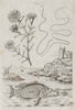 Ficoide (Fig-marigold). Filaires (Parasitic roundworm). Filou 1834 print